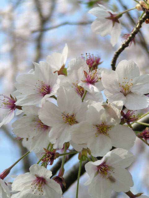 f0074659_2020335.jpg