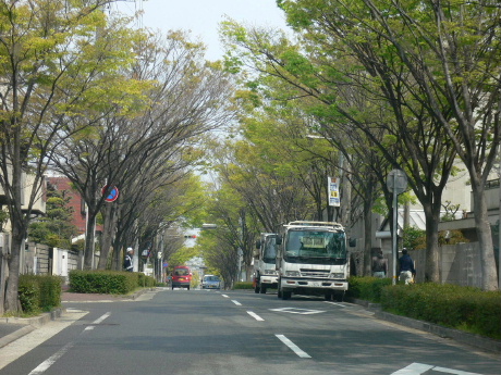 a0063364_2257738.jpg