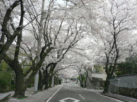 a0063364_22595116.jpg