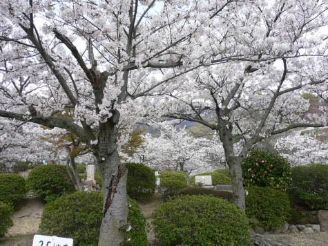a0063364_2305843.jpg