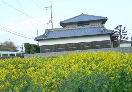 a0063364_2315533.jpg