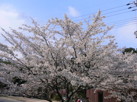 a0063364_2361184.jpg