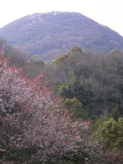 a0063364_2371565.jpg