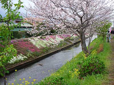 e0097770_19155183.jpg