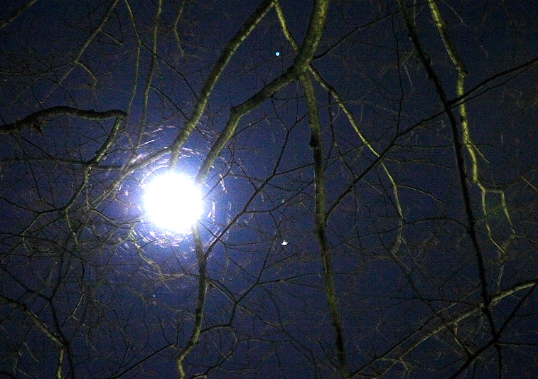 c0030874_725827.jpg