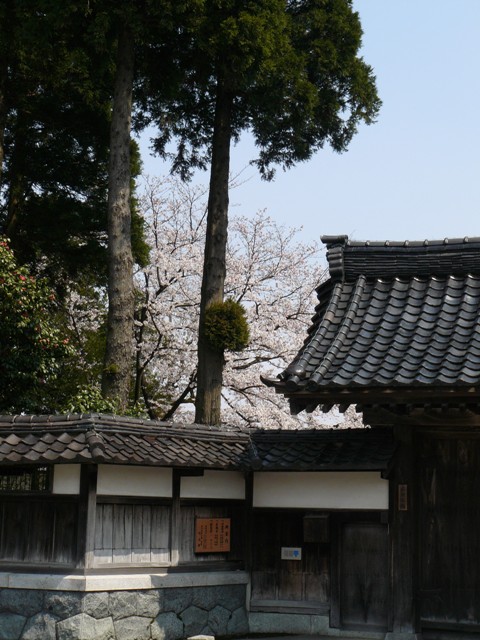 a0096177_1732046.jpg