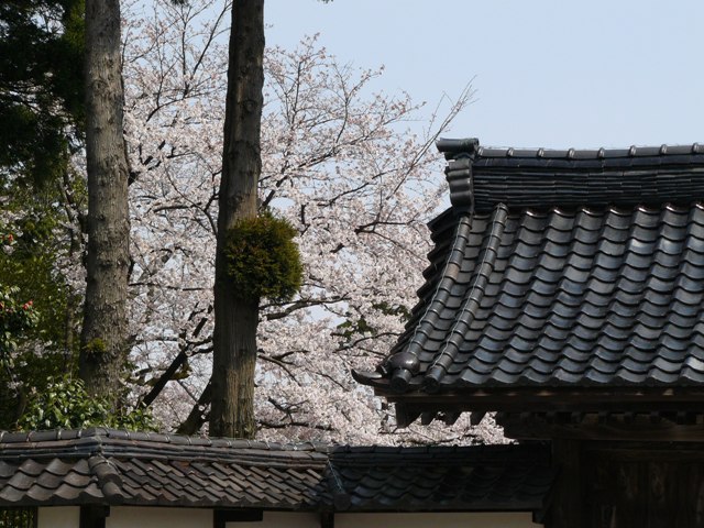 a0096177_17321573.jpg