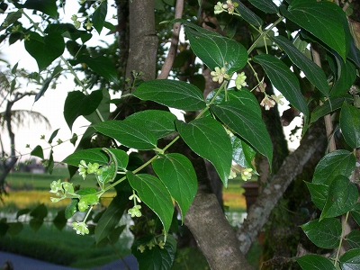 b0101284_2252178.jpg