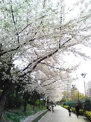 a0067485_17182277.jpg