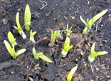 b0032694_22413539.gif