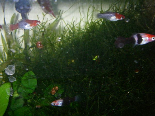 e0010301_14574554.jpg