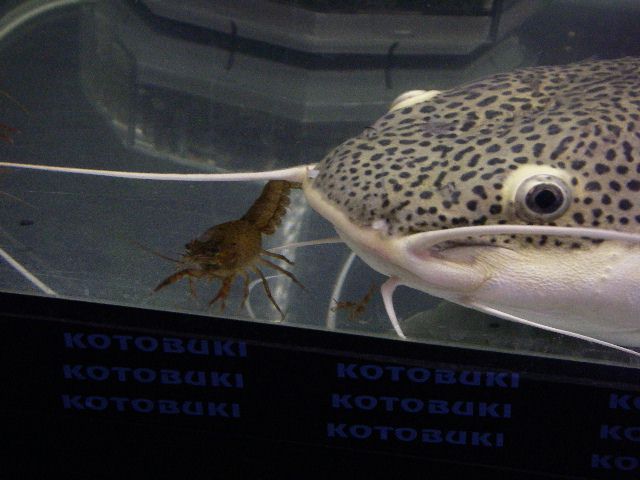 e0010301_15395623.jpg