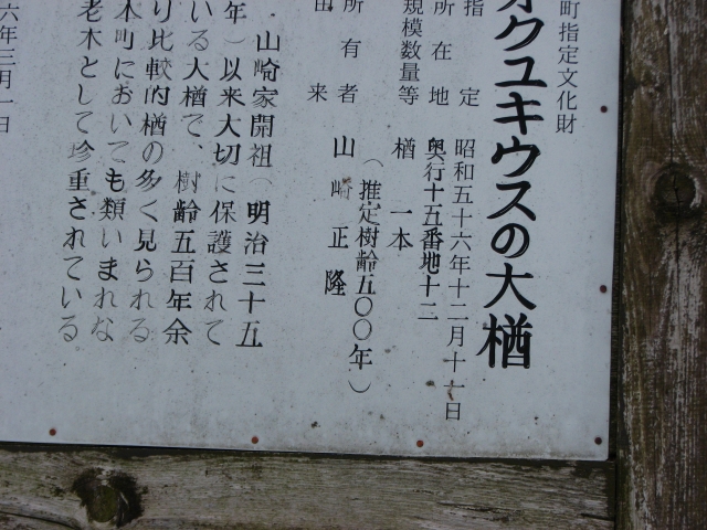 f0020302_20324024.jpg