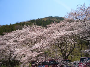 a0033507_1658234.jpg