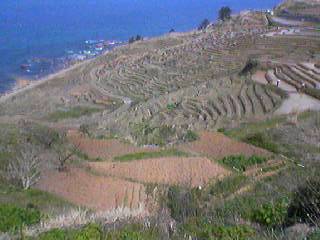 b0072207_1514639.jpg
