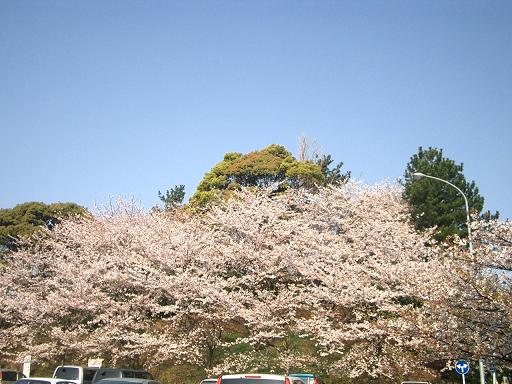 c0005619_22164810.jpg