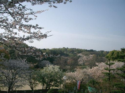 c0005619_22174273.jpg