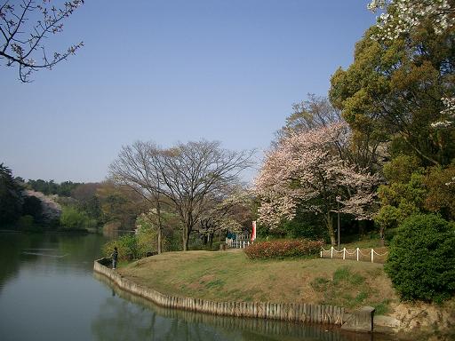 c0005619_22382179.jpg