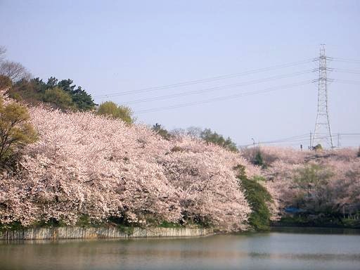 c0005619_2246750.jpg