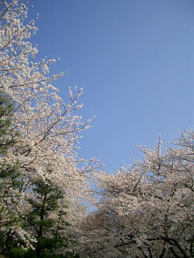 c0005619_22503919.jpg