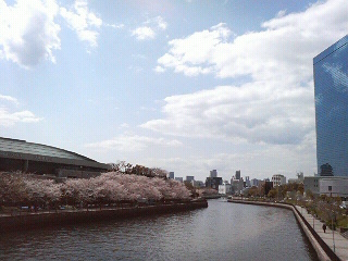 b0019820_0304494.jpg