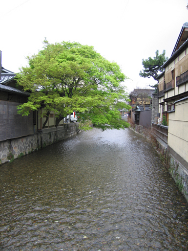 b0069720_0122537.jpg