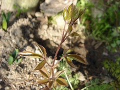f0054421_19555111.jpg