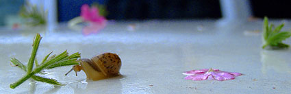 a0020622_2183740.jpg