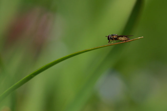 d0089024_19627.jpg