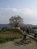e0094325_21205033.jpg