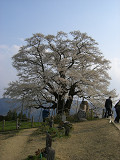 e0094325_21211516.jpg