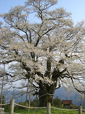e0094325_21212667.jpg