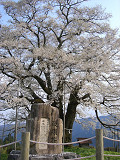 e0094325_21224883.jpg