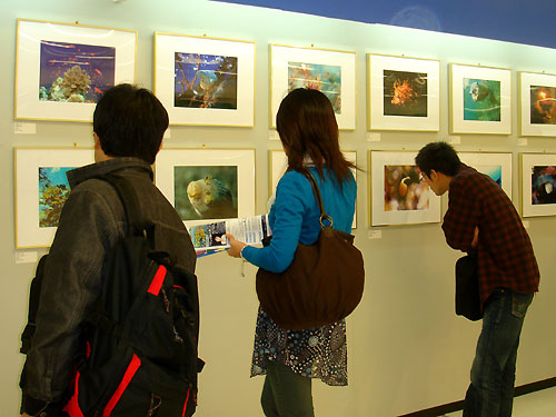 b0044726_8233626.jpg
