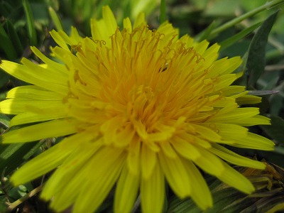 b0006329_165426100.jpg