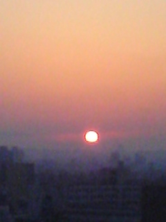 e0053333_4493395.jpg