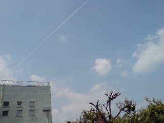 a0013134_0401862.jpg