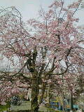 c0100534_14171122.jpg