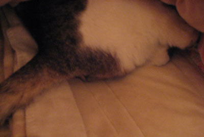 f0007636_15424347.jpg