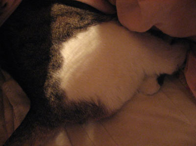 f0007636_15432683.jpg