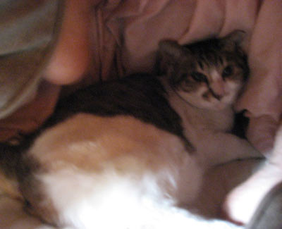 f0007636_15442998.jpg