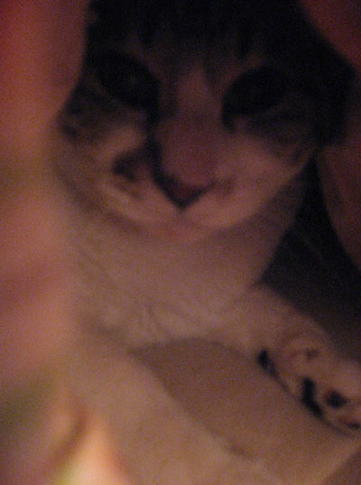 f0007636_1621176.jpg