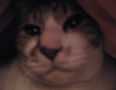 f0007636_16212692.jpg