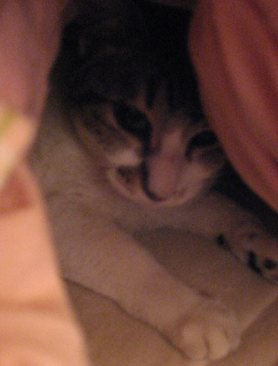 f0007636_1621637.jpg