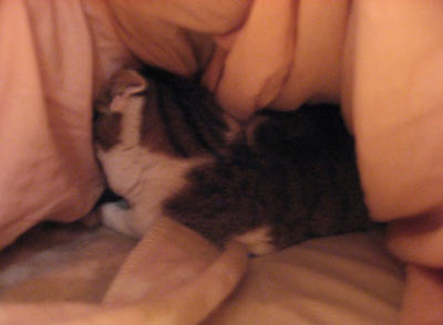 f0007636_16263115.jpg