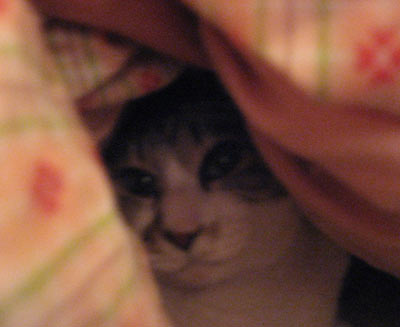 f0007636_1627367.jpg