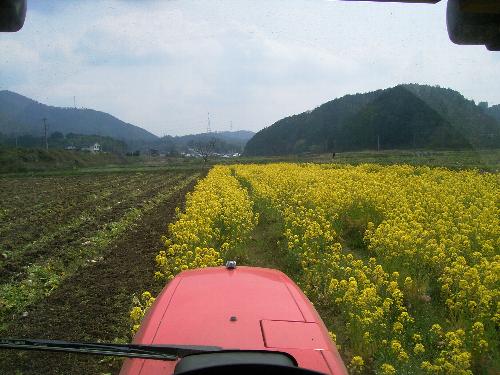 c0072843_21431574.jpg