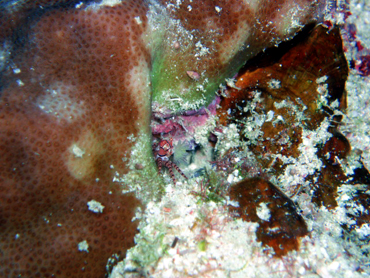 d0065247_19592376.jpg