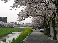 d0098047_13293495.jpg
