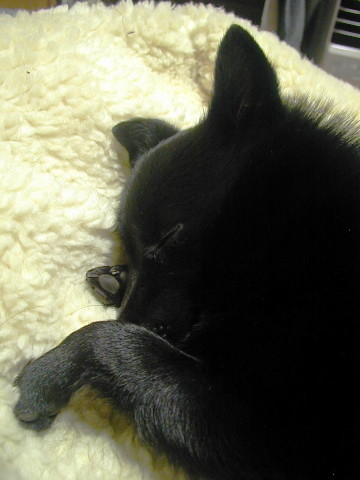 a0009750_9563986.jpg